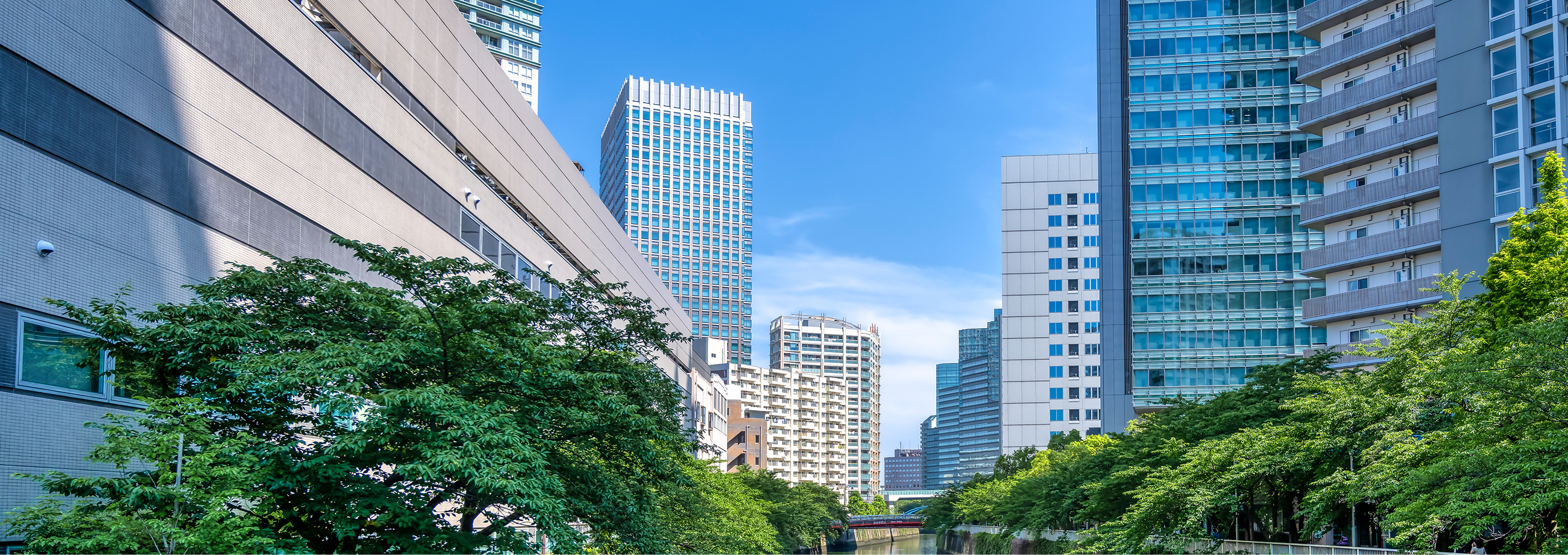 きらりライフサポートの会社概要