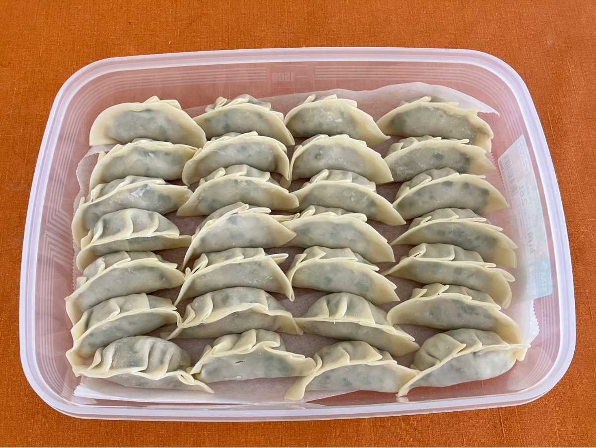 具を包んで保存容器に並べた、焼く前の餃子